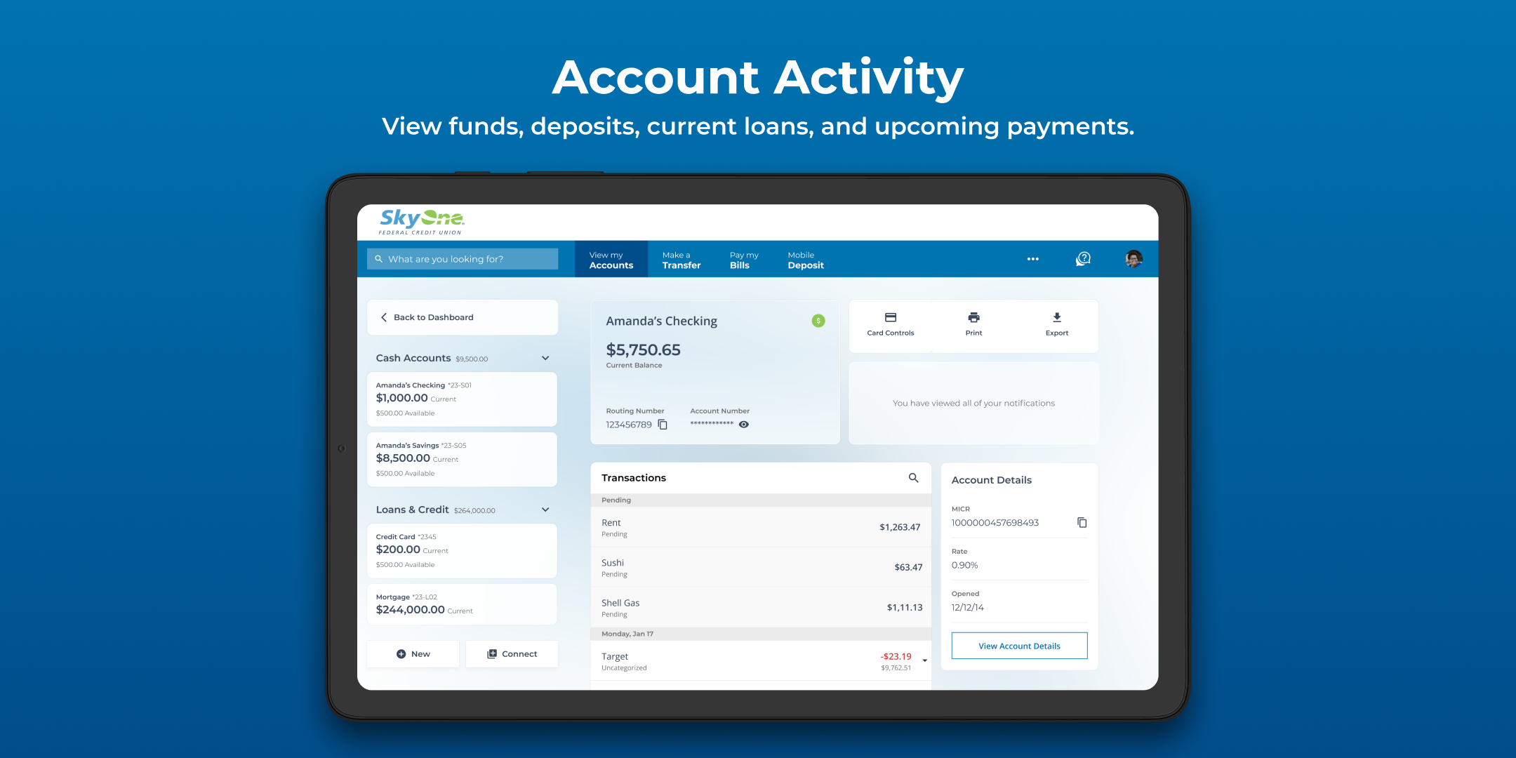 Account Activity