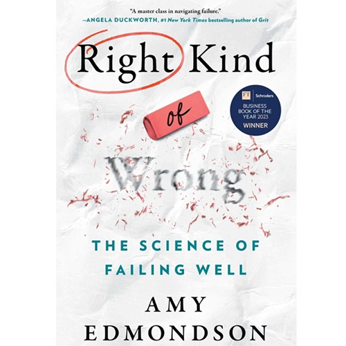 Book Cover - The Right Kind of Wrong
